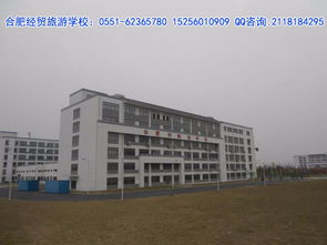 合肥市经贸旅游学校 旅游服务与管理专业的经济贸易咨询方向解析