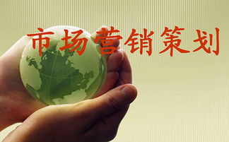 市场营销策划 成功品牌的战略蓝图